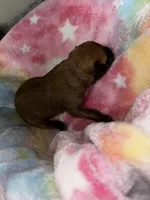 processed/423cfecb-826f-4043-b000-bd9414342ed8/listing/71588290-f0fa-4a4e-b1f0-5d9997febae1/c2e3a2a5-c10e-4ba3-bfa1-ea86a6b7abac