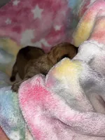 processed/423cfecb-826f-4043-b000-bd9414342ed8/listing/a227c0e4-cae5-468d-8117-73df2c81bbbb/13043a56-79ec-4114-9574-d76eaf00e804