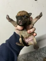 processed/423cfecb-826f-4043-b000-bd9414342ed8/listing/a227c0e4-cae5-468d-8117-73df2c81bbbb/53e4385c-2be1-4b9b-bc73-6872c7937e66