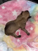 processed/423cfecb-826f-4043-b000-bd9414342ed8/listing/a227c0e4-cae5-468d-8117-73df2c81bbbb/6983d625-151f-4455-88e4-81c7f1768c9a