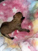 processed/423cfecb-826f-4043-b000-bd9414342ed8/listing/a227c0e4-cae5-468d-8117-73df2c81bbbb/cfc1ce9f-982b-477d-9645-4a2adb867778