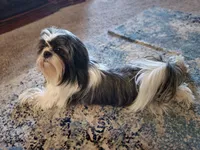 processed/4241d5d3-66f4-42ad-a1b9-391e76d03cc7/facility/a1135523-370e-4022-9580-520590832356