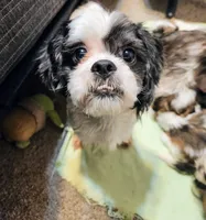 processed/4241d5d3-66f4-42ad-a1b9-391e76d03cc7/facility/a336e427-5b8c-4b11-b244-8c2217a7f34c