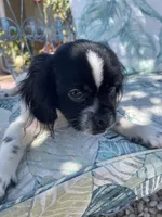 processed/4241d5d3-66f4-42ad-a1b9-391e76d03cc7/listing/7bcadd7a-2590-42c0-95ba-7924efea8513/553ca4ec-135b-4031-9fa4-f327ae252790