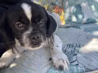 processed/4241d5d3-66f4-42ad-a1b9-391e76d03cc7/listing/7bcadd7a-2590-42c0-95ba-7924efea8513/fc2e8525-3ce5-4439-a093-bfe586674af9