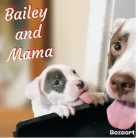 Bailey, a female American Bully and American Pit Bull Terrier for sale in Bellevue, NE – 3 of 7
