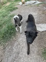 processed/424d0eab-5cd9-409d-b793-6fd2039d033f/facility/2340f9d2-8dbd-4618-843e-fc9efb7eec15