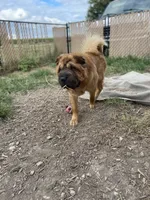 processed/424d0eab-5cd9-409d-b793-6fd2039d033f/facility/5b789527-d766-42ba-b65f-c8837c87a36d