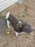 processed/424d0eab-5cd9-409d-b793-6fd2039d033f/facility/9fc0c9d5-559a-4091-a214-bef83d381c47