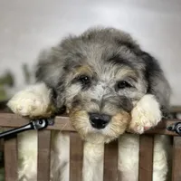 processed/42505f8d-a0a2-4375-b3d6-32db97299bb8/facility/edc19b1f-e935-4e1a-8b70-faeddf62260a