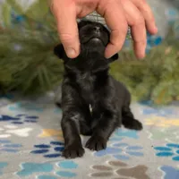 processed/42505f8d-a0a2-4375-b3d6-32db97299bb8/listing/602773a9-d4bb-4207-bff1-1b3cb94c9255/1f3faa7c-1b24-4f17-b08b-c51a368cb3e7