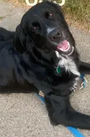 processed/42505f8d-a0a2-4375-b3d6-32db97299bb8/listing/602773a9-d4bb-4207-bff1-1b3cb94c9255/8f00facc-e3e2-4590-9221-2a573b4cc73a