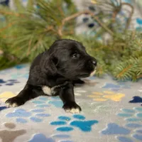 processed/42505f8d-a0a2-4375-b3d6-32db97299bb8/listing/64858342-ad81-4aba-91cd-48d899f1b28b/34c41e83-dbd3-4c96-b3ba-d8793d0b22e3