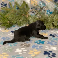 processed/42505f8d-a0a2-4375-b3d6-32db97299bb8/listing/64858342-ad81-4aba-91cd-48d899f1b28b/6f8bf50b-7dd3-4ef2-ad7f-74176611e05a