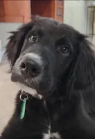 processed/42505f8d-a0a2-4375-b3d6-32db97299bb8/listing/64858342-ad81-4aba-91cd-48d899f1b28b/72e0b015-6351-413c-a220-db04d81d7a13