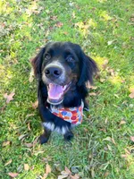 processed/42505f8d-a0a2-4375-b3d6-32db97299bb8/listing/64858342-ad81-4aba-91cd-48d899f1b28b/73f61408-493f-4c88-b024-1a315a58b2cb