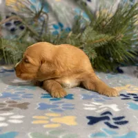 processed/42505f8d-a0a2-4375-b3d6-32db97299bb8/listing/7e9b52d3-5d80-4c23-9858-771d7df6c09c/1361c470-3901-4850-b3db-cc4023c15b73