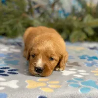 processed/42505f8d-a0a2-4375-b3d6-32db97299bb8/listing/7e9b52d3-5d80-4c23-9858-771d7df6c09c/2b0910b3-ae54-42cd-98d0-cc50cdcf9c71