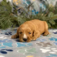 processed/42505f8d-a0a2-4375-b3d6-32db97299bb8/listing/7e9b52d3-5d80-4c23-9858-771d7df6c09c/de682767-a926-4142-bc8d-01e7f46d5774