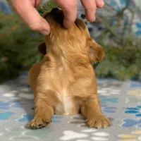 processed/42505f8d-a0a2-4375-b3d6-32db97299bb8/listing/7e9b52d3-5d80-4c23-9858-771d7df6c09c/e3e91a6b-1119-4129-89cf-03074678c96f