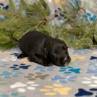 processed/42505f8d-a0a2-4375-b3d6-32db97299bb8/listing/8114c2ba-170d-4fce-ad95-153c0448b5cd/195da802-c359-4111-91a0-0af483c01312