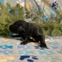 processed/42505f8d-a0a2-4375-b3d6-32db97299bb8/listing/8114c2ba-170d-4fce-ad95-153c0448b5cd/2beed727-3f46-43bc-9615-1838497af506