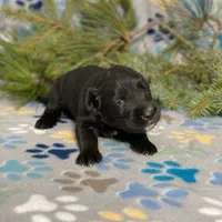 processed/42505f8d-a0a2-4375-b3d6-32db97299bb8/listing/8114c2ba-170d-4fce-ad95-153c0448b5cd/bdea3d75-6adf-4d31-83c3-8939b82a7f2a