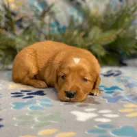 processed/42505f8d-a0a2-4375-b3d6-32db97299bb8/listing/9021a148-dd10-4bc8-8881-2d048e1f954e/6cce1c16-319a-4c32-b520-d344ee582f6a