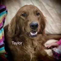 processed/42505f8d-a0a2-4375-b3d6-32db97299bb8/listing/9021a148-dd10-4bc8-8881-2d048e1f954e/934bb801-d1af-47b6-aff0-a73a6df223e9