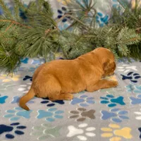 processed/42505f8d-a0a2-4375-b3d6-32db97299bb8/listing/9b275e10-1dd5-42ed-9f04-8de552380dc4/4fd986eb-1010-40bc-99d0-40d3e3fc9433