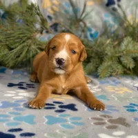 processed/42505f8d-a0a2-4375-b3d6-32db97299bb8/listing/9b275e10-1dd5-42ed-9f04-8de552380dc4/73102bf5-92ef-4250-89e3-e1c4fe06f86a