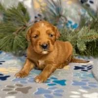 processed/42505f8d-a0a2-4375-b3d6-32db97299bb8/listing/e99fa95f-6ff8-4c06-8324-6cdccdb0965b/04d3417e-4091-4ec0-89ca-9ccb9f16bc59