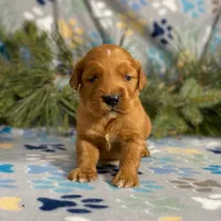 processed/42505f8d-a0a2-4375-b3d6-32db97299bb8/listing/e99fa95f-6ff8-4c06-8324-6cdccdb0965b/6c8d7156-f3f6-45d7-8c27-e3e82c2e4ca4