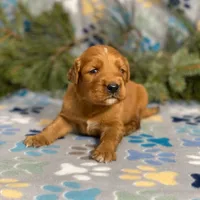 processed/42505f8d-a0a2-4375-b3d6-32db97299bb8/listing/e99fa95f-6ff8-4c06-8324-6cdccdb0965b/deae141d-f1fd-4d62-bd23-fe74811cf2a8