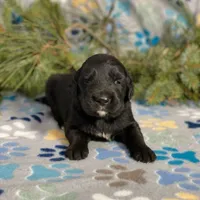 processed/42505f8d-a0a2-4375-b3d6-32db97299bb8/listing/f0e17d54-6076-4cdf-8fd0-b28fb169589a/3b75d0af-b8e1-4f07-8fd4-7aeee9fa5e50