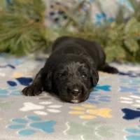 processed/42505f8d-a0a2-4375-b3d6-32db97299bb8/listing/f0e17d54-6076-4cdf-8fd0-b28fb169589a/6951edc9-fcb0-4736-9377-d5a0f52e9c22