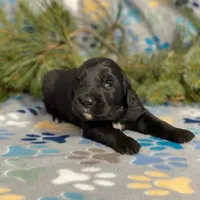 processed/42505f8d-a0a2-4375-b3d6-32db97299bb8/listing/f0e17d54-6076-4cdf-8fd0-b28fb169589a/d62786fe-fdb8-4867-b03b-c6443cfdf0a0