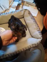 processed/4252541f-eb91-49a5-9865-50af726d4d0f/listing/4e7cd2cb-4b1d-4e1f-885c-f81ee6c12e7b/026863aa-4df0-4ffe-be07-8360d6269e6c