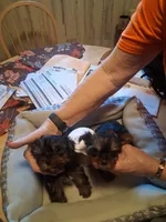 processed/4252541f-eb91-49a5-9865-50af726d4d0f/listing/4e7cd2cb-4b1d-4e1f-885c-f81ee6c12e7b/0f0b92c2-068b-456d-87ef-8db864b8cdc9