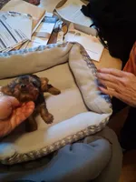 processed/4252541f-eb91-49a5-9865-50af726d4d0f/listing/4e7cd2cb-4b1d-4e1f-885c-f81ee6c12e7b/3085e535-6b22-47c6-ba74-5e3f488b14bf