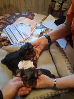 processed/4252541f-eb91-49a5-9865-50af726d4d0f/listing/4e7cd2cb-4b1d-4e1f-885c-f81ee6c12e7b/687afcfd-515c-40cc-af65-c277e329023d