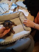 processed/4252541f-eb91-49a5-9865-50af726d4d0f/listing/4e7cd2cb-4b1d-4e1f-885c-f81ee6c12e7b/9e0a8458-2b81-4dce-8243-b80126b96b0e