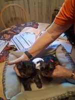 processed/4252541f-eb91-49a5-9865-50af726d4d0f/listing/4e7cd2cb-4b1d-4e1f-885c-f81ee6c12e7b/b846d425-ef79-41c8-b447-d885adfa8e35