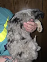 processed/4254cc0c-7e28-483d-aa9f-623182b56f4c/listing/01975d38-a64a-440c-8b5e-58c9b3f365a7/2203335c-4c4c-43d1-ba96-1e01040915cc