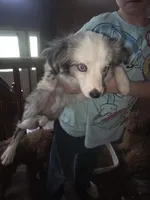 processed/4254cc0c-7e28-483d-aa9f-623182b56f4c/listing/01975d38-a64a-440c-8b5e-58c9b3f365a7/22d94585-cd85-4b4d-aaf3-6f18b8148c7c