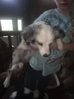 processed/4254cc0c-7e28-483d-aa9f-623182b56f4c/listing/01975d38-a64a-440c-8b5e-58c9b3f365a7/4856c240-2710-45a4-bd63-527190e419fe