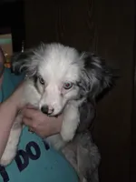 processed/4254cc0c-7e28-483d-aa9f-623182b56f4c/listing/01975d38-a64a-440c-8b5e-58c9b3f365a7/4cbda3cb-4c21-466c-98d9-30a0c373b3cb