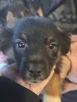 processed/4254cc0c-7e28-483d-aa9f-623182b56f4c/listing/7e1881c7-22f4-4715-882f-1281a946b527/2ac62b01-e445-4151-8fb7-b8295e2b7065