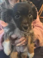 processed/4254cc0c-7e28-483d-aa9f-623182b56f4c/listing/7e1881c7-22f4-4715-882f-1281a946b527/a664b025-efb2-4e93-8f51-b604cd8d7c0d