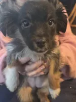 processed/4254cc0c-7e28-483d-aa9f-623182b56f4c/listing/7e1881c7-22f4-4715-882f-1281a946b527/bae8567e-0e4f-4cd8-adac-8b6347ad4008